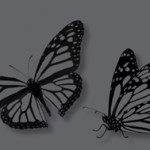 web_eader_aw